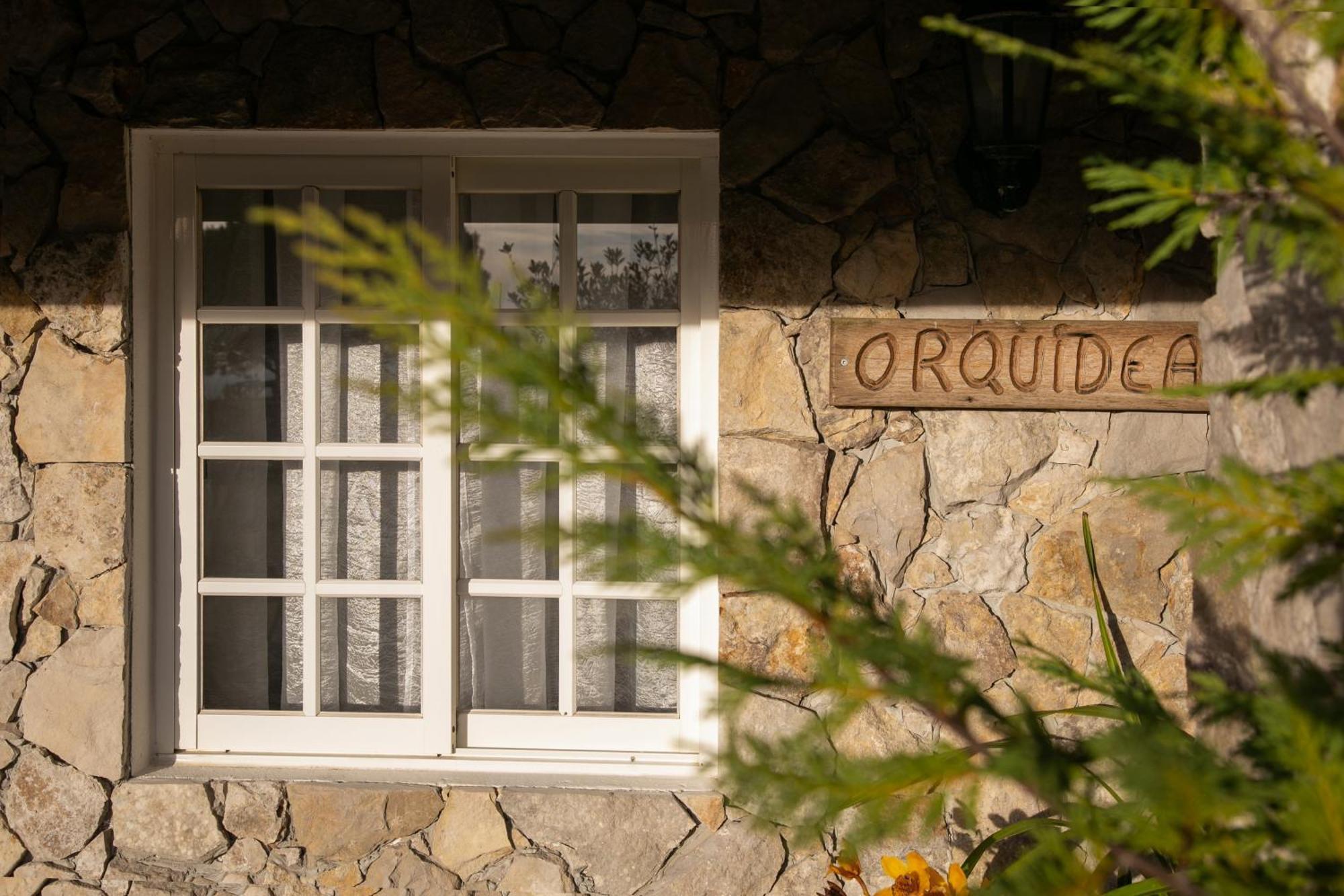 Casas Da Gralha Bed and Breakfast Turquel Δωμάτιο φωτογραφία